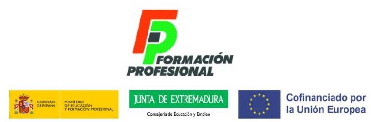 FSE FP IECA