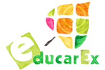 logo educarex